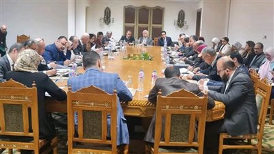 انعقاد اللجنة الدائمة لمتابعة العلاقات المصرية - الإفريقية