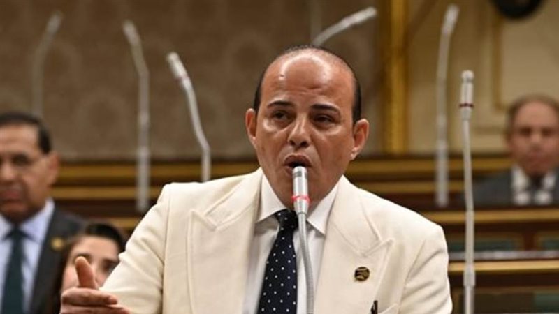 النائب عمرو القطامى