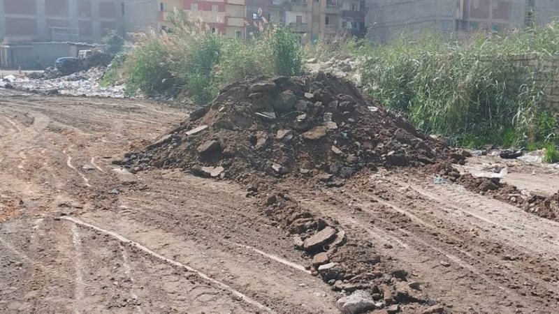 محافظ الإسكندرية