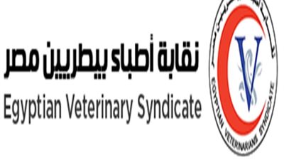 الأحد.. الإعلان الرسمي لنتائج انتخابات التجديد النصفي للأطباء البيطريين