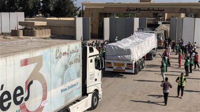 إدخال 243 شاحنة مساعدات إنسانية إلى قطاع غزة من ميناء رفح البري