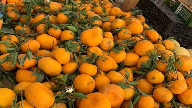 اليوسفي المصري