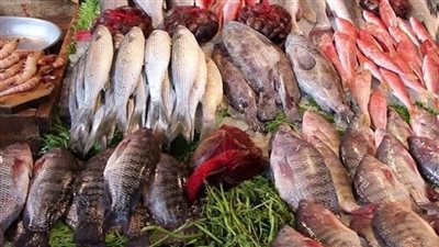 تعرف على سعر السمك اليوم ١٣/٣/٢٠٢٤