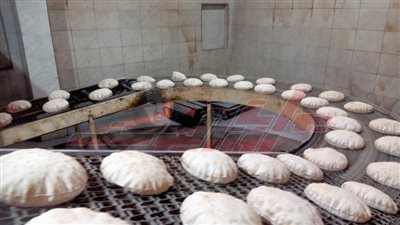 تحرير 38 محضرًا تموينيًا لأصحاب المحال التجارية والمخابز بكفر الشيخ