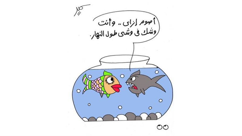 بوابة روز اليوسف