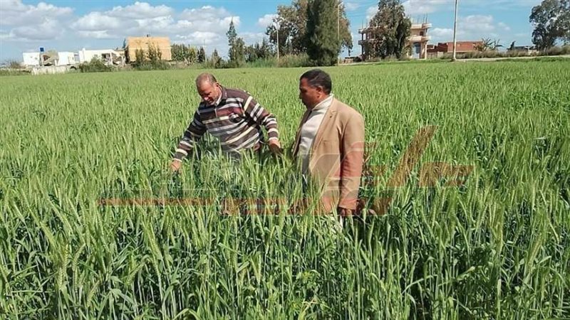 الندوات الإرشادية