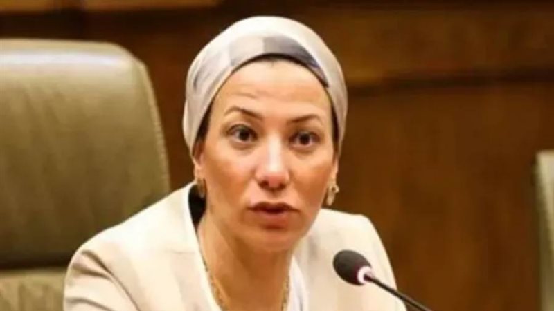 الدكتورة ياسمين فؤاد