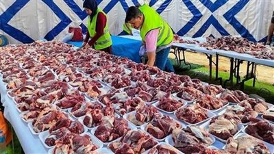 تسليم 6 أطنان لحوم من 