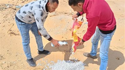 تفاصيل التقرير الحادي عشر للهيئة القومية لسلامة الغذاء لعام 2024