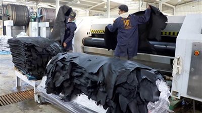  عاجل.. 1233 مشروعًا باستثمارات إيطالية على أرض مصر