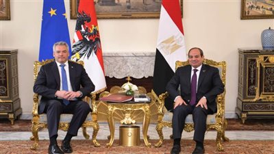 عاجل..السيسي يؤكد للمستشار النمساوي أهمية حل الدولتين لضمان استعادة الأمن والاستقرار بالمنطقة