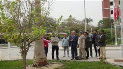جامعة المنيا زراعة 14 ألف من الأشجار والنخيل ونباتات الزينة والمسطحات الخضراء