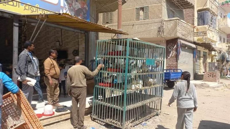 حملات لرفع الاشغالات