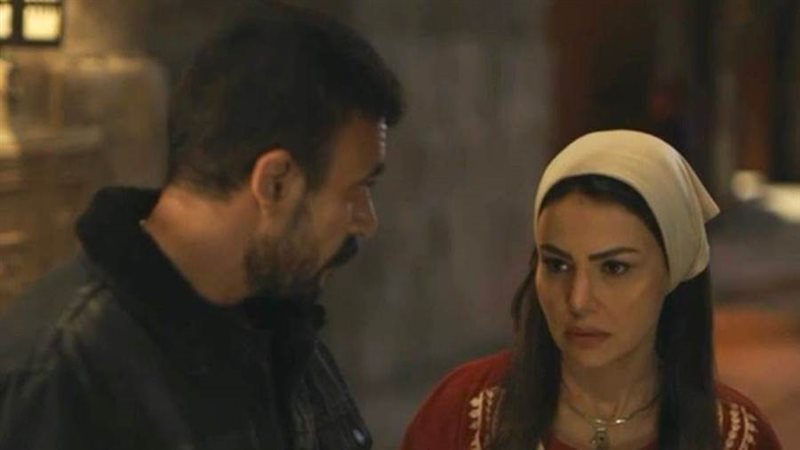 دينا فؤاد وأحمد العوضي