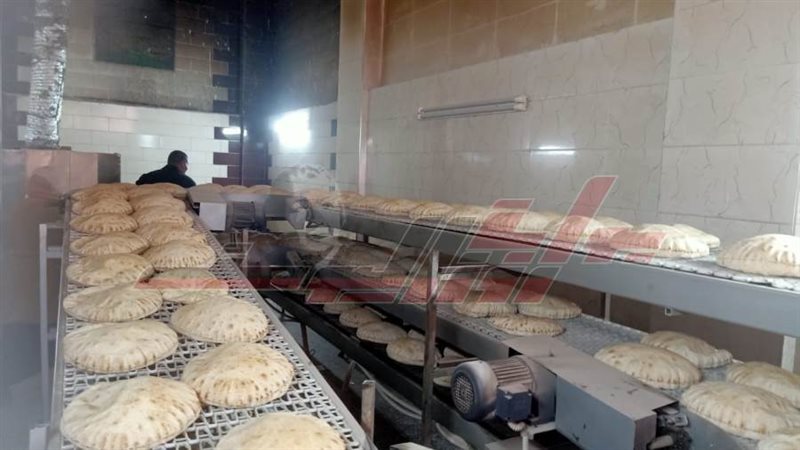 مخابز كفرالشيخ