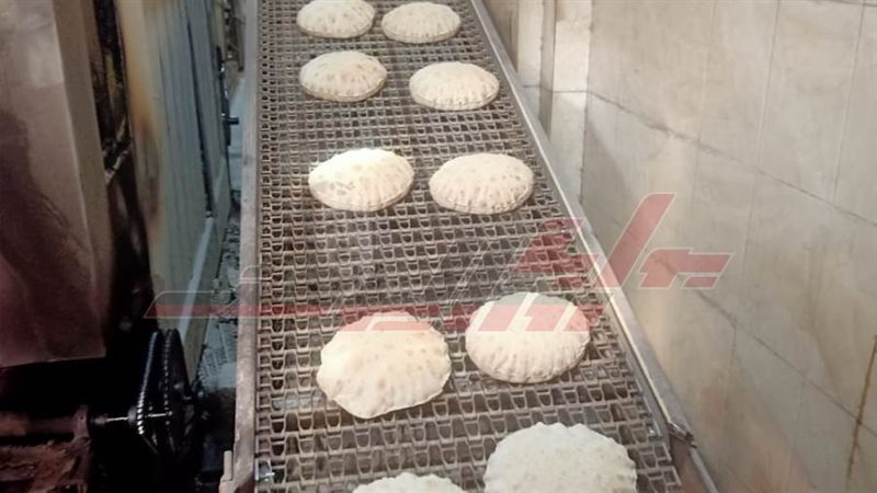 الحملات الرقابية