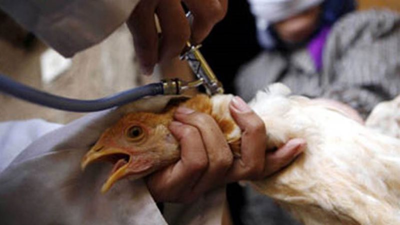 صورة ارشيفية