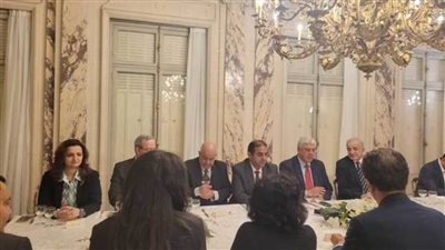 وزير التعليم العالي يعقد اجتماعًا مع العلماء المصريين بفرنسا