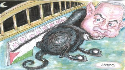 #وخز_الريشة_لضمير_العالم 