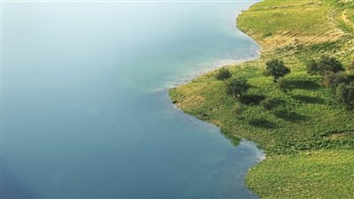 عاجل.. خبير أممي: يجب إدارة المياه العابرة للحدود باعتبارها أنظمة بيئية وليس كموارد اقتصادية