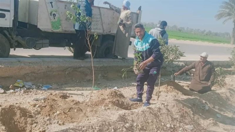 زراعة أشجار مثمرة