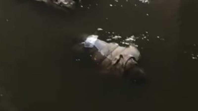 صورة الطفلة