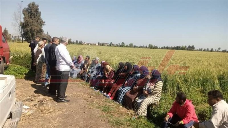 الندوات الإرشادية