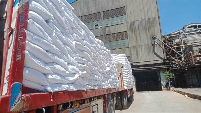 توريد محصول البنجر