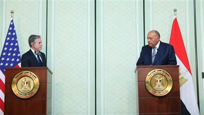 شكري: هناك رفض مشترك لأي عمليات عسكرية في رفح