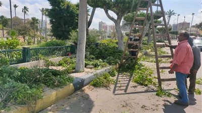 استعدادا ليوم اليتيم رفع كفاءة حديقة الشلالات القبلية بالإسكندرية 