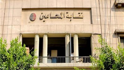 غدًا.. انطلاق ماراثون انتخابات المحامين على مقعد النقيب العام وأعضاء المجلس بإشراف قضائي