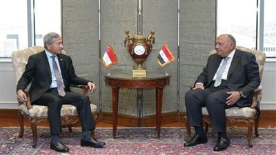 شكري يؤكد اهتمام القاهرة بتعظيم استفادة الشركات السنغافورية من الفرص الاستثمارية في مصر