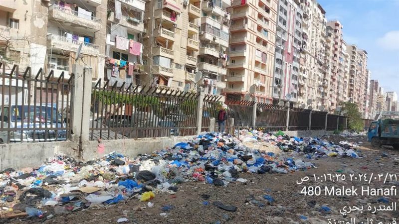 محافظة الإسكندرية