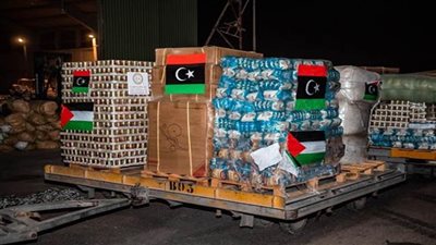  أكثر من 1000 طن.. مساعدات ليبية لغزة ستنطلق بحرا
