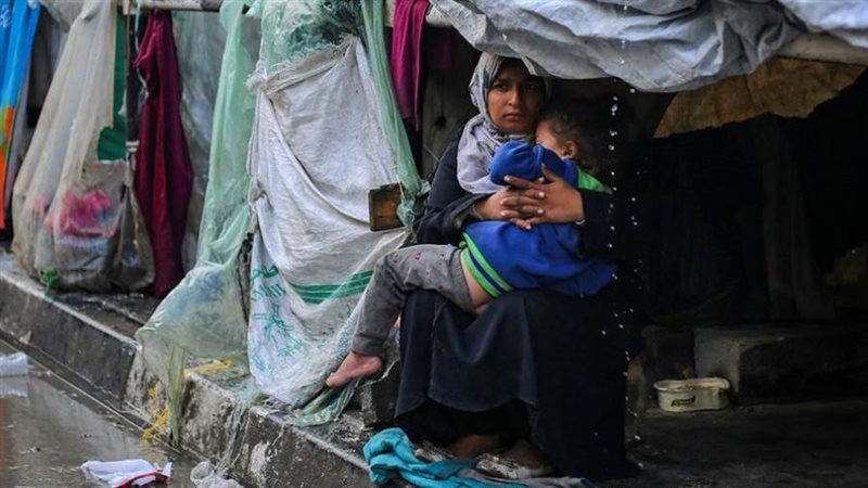 الأحداث في غزة