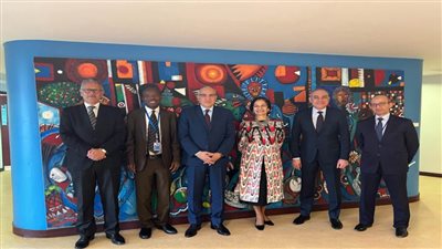 وزير الري: المجلس التنفيذي لـ