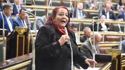 برلمانية: تنفيذ مخرجات الحوار الوطني أكبر رد على المشككين فيه