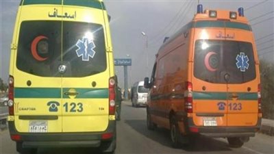 مصرع وإصابة 3 أشخاص من أسرة واحدة في حادث سير في الوادي الجديد