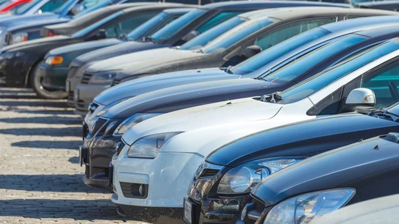 صورة أرشيفية روزا