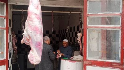بيطري المنيا.. ذبح 6850 رأس ماشية بالمجازر وضبط طن لحوم غير صالحة للاستهلاك