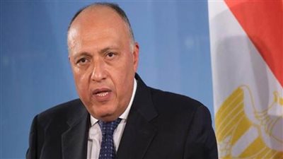 وزير الخارجية: قطاع غزة لم يعد يحتمل المزيد من الدمار والمعاناة الإنسانية