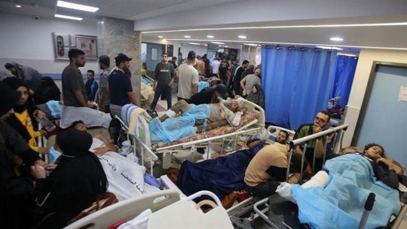 بوابة روز اليوسف