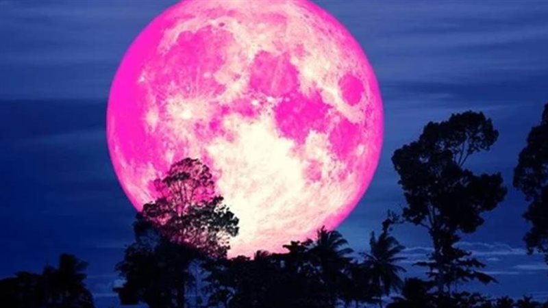 القمر الوردي