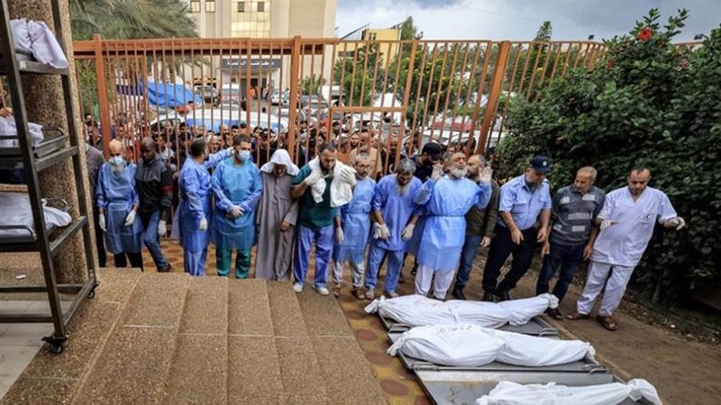 مئات الجثث في محيط