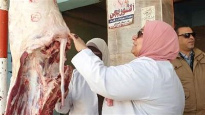  ضبط طن لحوم مخالفة خلال حملات تفتيشية بالشرقية 