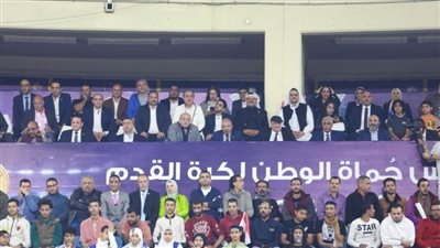 حماة الوطن يختتم بطولة كأس الحزب لكرة القدم.. وأمانة الإسكندرية تحصل على المركز الأول