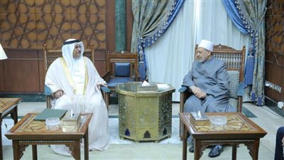 شيخ الأزهر: التشتت والضعف الذي أصاب أمتنا العربية أفقدها توازنها وقدرتها على مواجهة أزماتها المتلاحقة