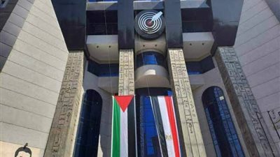 بيان هام من عضوي مجلس نقابة الصحفيين