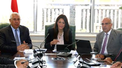 وزراء الري والزراعة والتعاون الدولي يناقشون موقف مشروع 