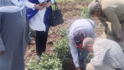 6 وحدات إنتاجية زراعية في بني سويف بتمويل من الوكالة الألمانية 